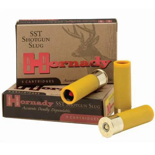 Hornady SST 20 gauge sabot slug